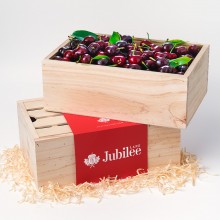 Sweet Cherry Treat