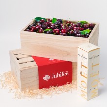 Cherry Utopia
